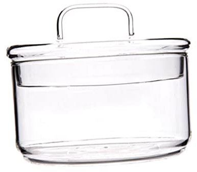 CIYODO Insalatiera Trasparente Ciotola per Servire Frutta e Ciotola per Dessert e Insalate per Cene e Feste Facile da e Resistente Ai Graffi