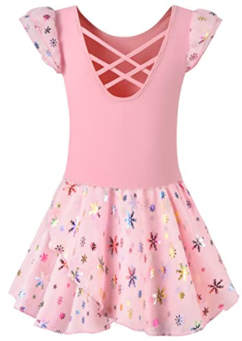 DANSHOW Girls Ballet Leotard Dance Skirted Kid Tutu Dress(6043-08-M)