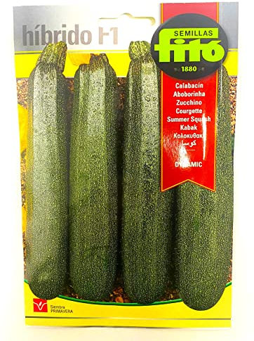 Semillas de Calabacin Hibrido F1 Dynamic Sobre 40 uds