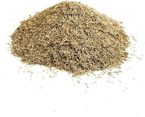 Back Lawn Grass Seed 1kg Hard Wearing (Covers 20 Square metres) LGH