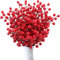 Sadodo 22 Stück Weihnachten Holly Beeren Künstliche Rote Beeren Weihnachtsbeeren Rot Holly Zweige Beeren Stiele für Weihnachten Dekoration Christbaumschmuck Kranz Kunsthandwerk