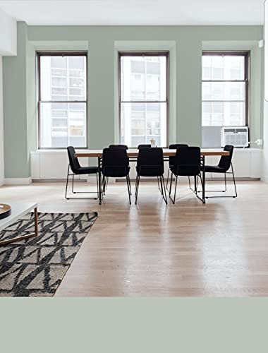 Pintura, pintura pared, pintura pared interior, pintura colores, pintura VERDE SAGE, pintura exterior, pintura ECOLOGICA, SIDERAL MATE COLOR 2020 (Verde Sage)