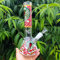 Snake Glass Bong - 14.5mm Bowl, 26cm Height, 400g, Glowing Water Bong with Tornado Filter