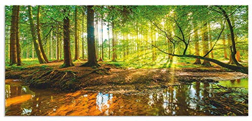 ARTland Spritzschutz Küchenrückwand aus Alu für Küche Herd Spüle 120x55 cm (BxH) mit Motiv Natur Landschaft Wald Bäume Sonne Bach Landhaus Grün T9IO