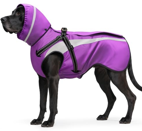 Oslueidy Imperméable Chien Imperméables pour Chien Réfléchissant Chiens Vestes de Pluie à Capuche Pluie Poncho pour Petits Chiens Moyens Grands S-XXL (Violet, L)