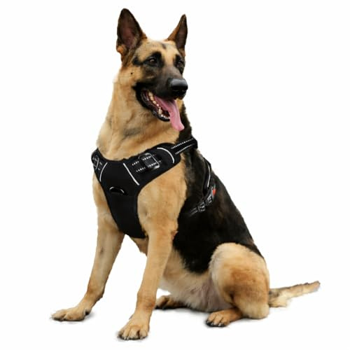 Arnes Perro BIHOTZAK Pequeño Mediano Grande sin Tirones con Cierres de Seguridad Accesorios para Perros Ajustable Transpirable Reflectante