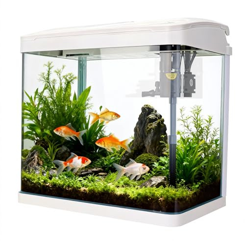 Glass Fish Tank, 34L Glass Aquarium with Filter System, LED Lights, Water Pump, Betta Fish Tank for Goldfish, Shrimps