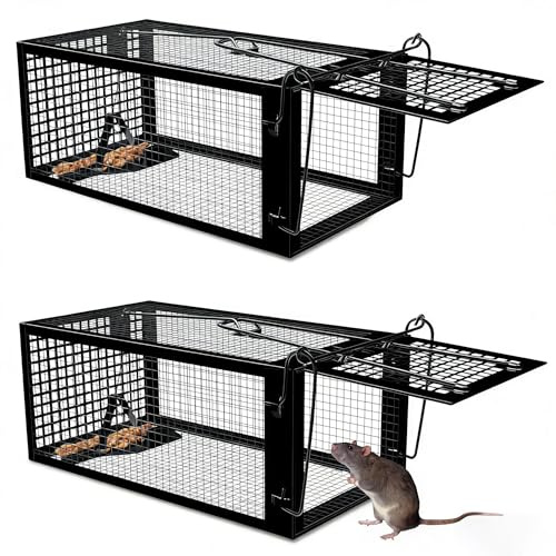 Trampa para Ratones Vivo, 2 PCS XL Trampas Ratas para Interiores y Exteriores Sin Matar Cepos para Ratones Reutilizable, Sin Mecanismo de Liberación Táctil para Cocina Jardín Hogar - 27 x14 x12 cm