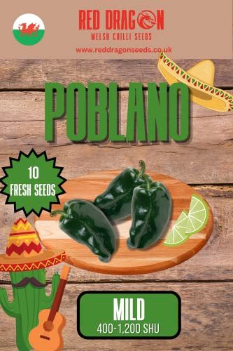 Poblano Chilli Seeds - 10 Fresh Seeds - Ancho Poblano Pepper Seeds