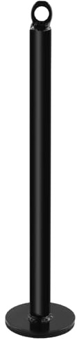 Caricamento Pin per Pesi Piastra, Perno di Carico per Sistema di Puleggia da Palestra e Casa, Perni in Acciaio Dumbbell Sollevamento Pesi Supporto Stand, Supporto Dischi Palestra, Ø20 x 320 mm