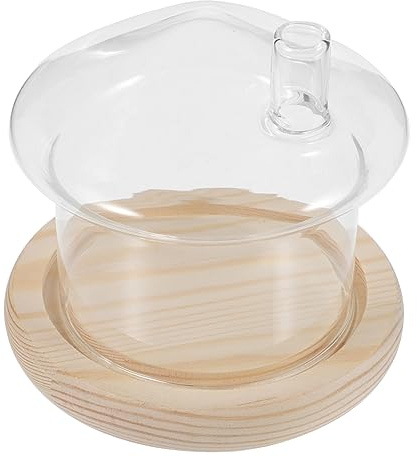 Glaskupol Cloche Bell Jar， Glasklocke, klockformad tårtfat, kupolformad, transparent, 12x11cm