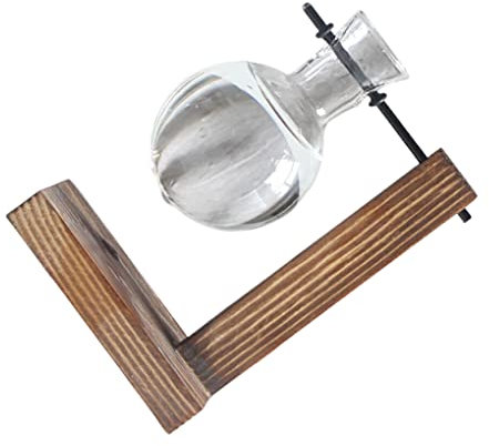 SUIOPPYUW Vaso idroponico Vaso per Piante in Vetro Ornamento per piantare Trasparente Fioriera da Tavolo Vaso per Fiori Serra Domestica per Interni