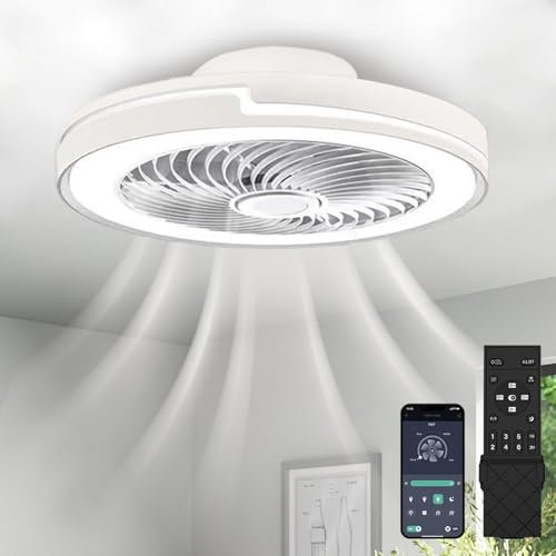 50cm Moderne Ventilateur Plafond Silencieux avec Lumiere, Dimmable LED Plafonnier Ventilateur Lampe avec Telecommande,6 Vitesse du vent,3 Température(3000K-6500K), pour Chambre,Salon,Cuisine,Minuterie