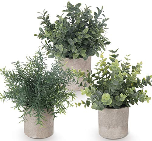 ilauke Künstliche Pflanzen 3er Set, Kunstpflanze Klein Wie Echt für Deko Schlafzimmer, Mini Zimmerpflanzen Fake Plant Deko für Büro, Badezimmer, Küch