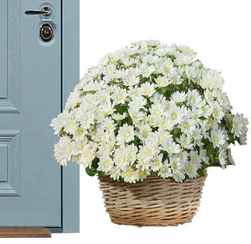 Uonguon Artificial Mums - 10 Bundle Sunset Fall Flowers for Outdoor Home Decorations, Weather Resistant with Realistic Texture, for Yard, Vase, Balcony, Desktop, Bedroom, Porch, Backyard