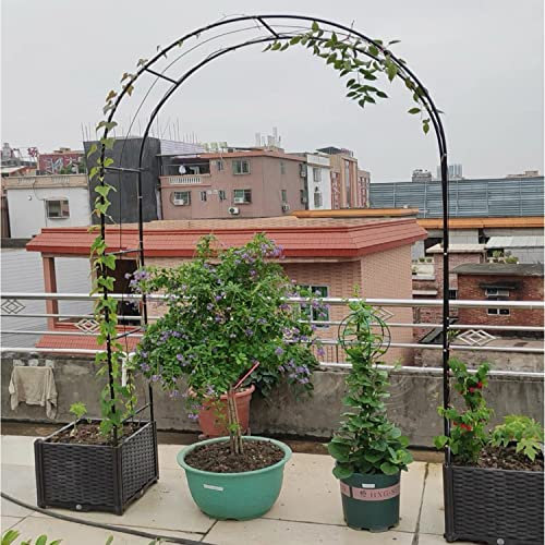 Arco da Giardino Telaio in Metallo 120CM 140CM 160CM 180CM 200CM 240CM 280CM 350CM Largo Arco per Rose Rampicanti con Basi, Facile Montaggio, Piante Rampicanti Supporto Traliccio Pergolato (Size : 12