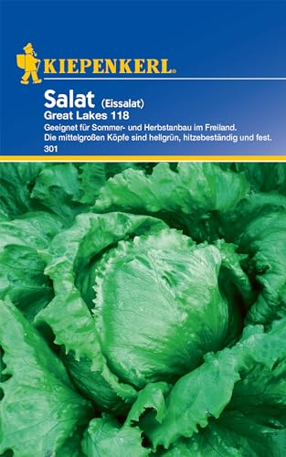Kiepenkerl Eissalatsamen Great Lakes 118, Eisbergsalat, Hitzebeständige Gemüsesamen für Mittelgroße Hellgrüne Köpfe, Ideal für Sommer und Herbst, Hochwertige Salat- und Gemüsesamen, Garten