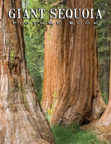 The Photo Of Giant Sequoia: Compelling Photos Collection Of Giant Sequoia As A Great Gift For Adults, Teens, Kids To Relax And Relieve Stress