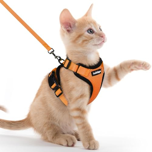 rabbitgoo Harnais Chat Anti évasion avec Laisse Orange XXS, Harnais Chaton Petit Chien Réglable, Collier Harnais et Laisses pour Chat Refléchissant Attache Dessus Gilet Respirant pour Lapin Chiot