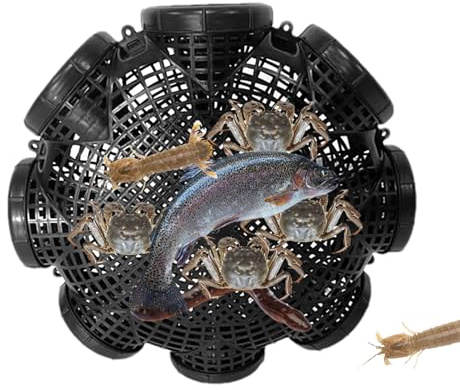 Krmoau Piège à cancer, piège à appâts pour appâts vivants - Boîte de maintien - Accessoires pour aquarium, pêche, lac, écrevisses