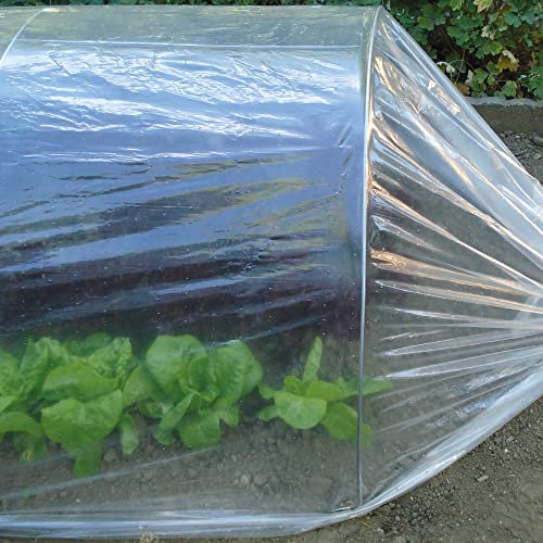 Tenax Dot Film 2,00x10 m Film de Forçage Micro-perforé Transparent pour Protéger Cultures, Légumes et Plantes, pour Tunnels dans Les Jardins et Les Potagers