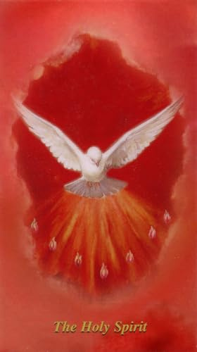 St. Jude Store Prayer to Receive The Holy Spirit - Laminated holy card - Pack of 25