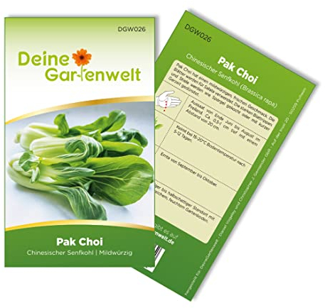 Pak Choi Chinesischer Senfkohl Samen - Brassica rapa - Kohlsamen - Gemüsesamen - Saatgut für 60 Pflanzen