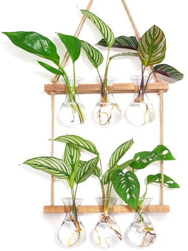 XXXFLOWER Wall Hanging Plant Propagation Station with Wooden Stand 3 Bulb Vase 2 Tiers Glass Planter Stations for Hydroponic Plant Cuttings Home Garden Wedding Decoration