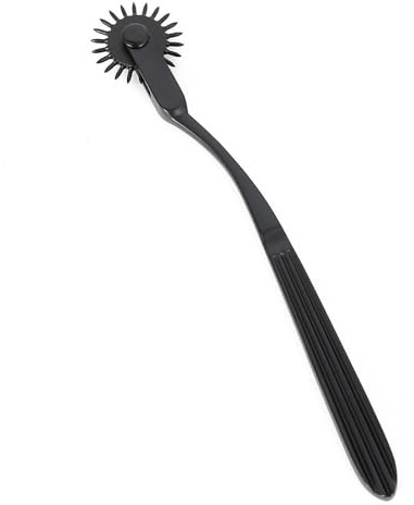 CYGzeon Nervenrad Sex Federkitzler Nadelrad Flirten Für Paar Exquisite Nervenräder Nervenrädchen Nach Nadelroller Sexspielzeug Frau