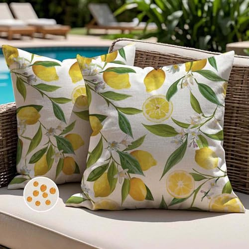 Jayusaror Fundas de Cojine 40x40 Exterior Impermeable con Diseño de Limón Amarillo Moderno Cuadrada Decorativos Primavera Verano Sofa Fundas de Almohada para Sofá Jardín Balcón Decoración Juego de 2