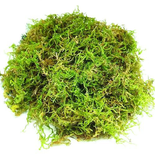 Natural Sphagnum Moss 200g Artificial Moss Decoration Forest Moss Dried Moss for Potted Plants Craft Moss Orchid Soil Medium for Terrarium Decor Reptile Snails Gecko Snake Turtles Substrate Habitat