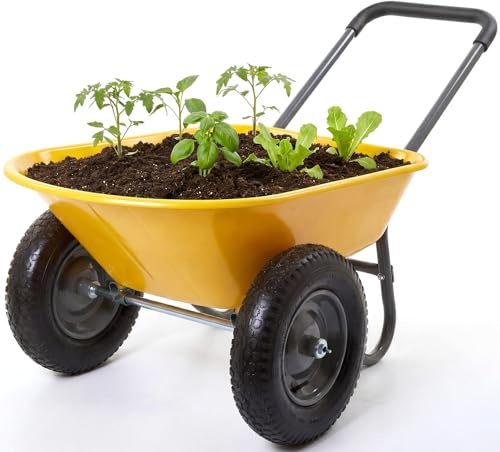 Virimolo Carretilla de jardín con 2 ruedas, carro de utilidad de hierro y plástico, dimensiones 124 x 66 x 62,5 cm, multicolor, para jardín, patio y exterior