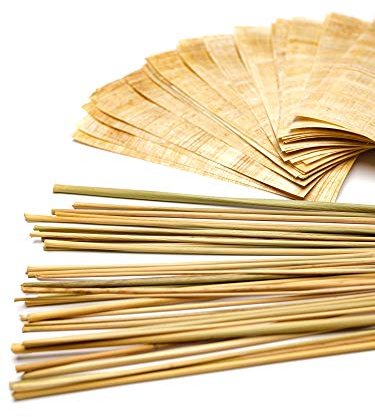 Forum Traiani Binsen Schreibset Klassensatz 30x Papyrus-Streifen 20x10cm und 30 Schreibbinsen aus Ägypten