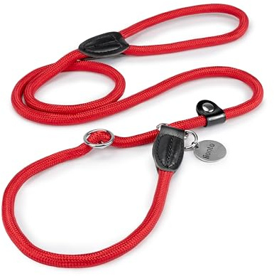 lionto Guinzaglio Retriever Guinzaglio per Cani Guinzaglio Formazione Cani, Lunghezza 170 cm Rosso