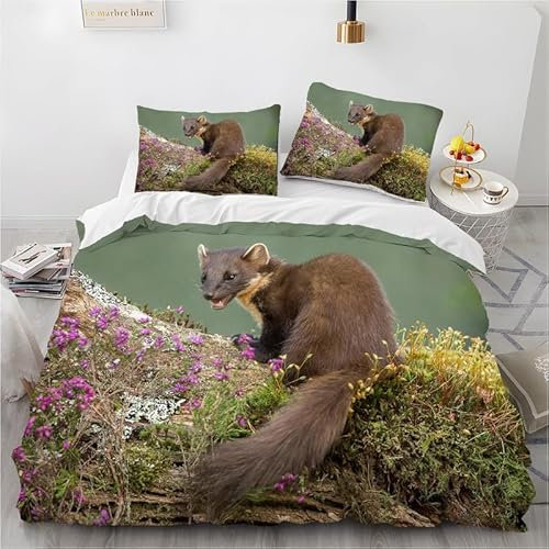 phonxia Bedding Double Bed Set Gray - Beaver Double Duvet Cover Sets 3 pcs Bedding Sets with Zipper Closure Soft Quilt Cover 2 Pillowcases Microfiber 79x79