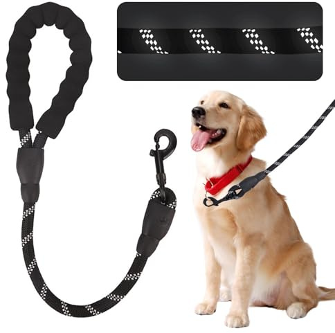 Parthan 24-Inch Short Dog Lead With Padded Handle - Nylon Walking Leash for Large, Medium, or Small Dogs - Training Control Rope