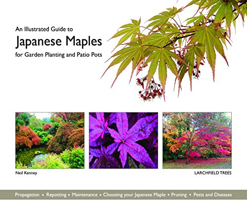An Illustrated Guide to Japanese Maples for Garden Planting and Patio Pots