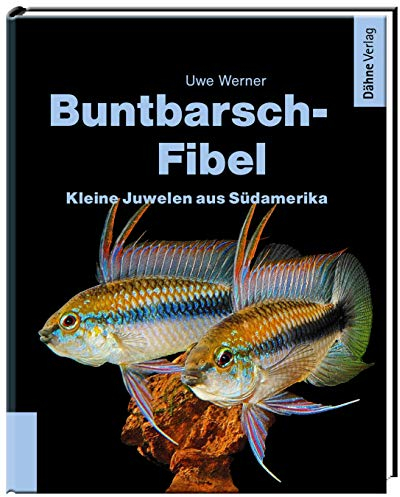 Buntbarsch-Fibel Südamerika: Kleine Juwelen aus Südamerika