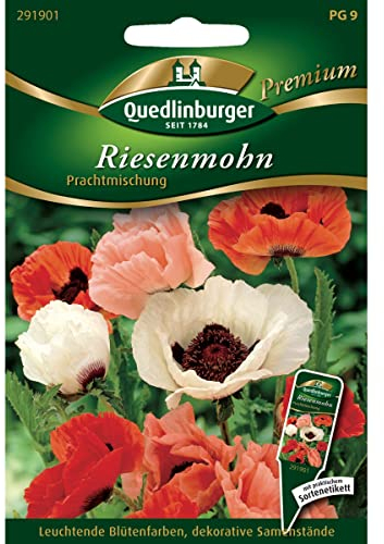 Riesenmohn Türkischer Mohn Prachtmischung