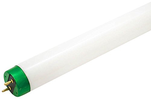 Philips 20W 24in T12 Daylight White Fluorescent Tube