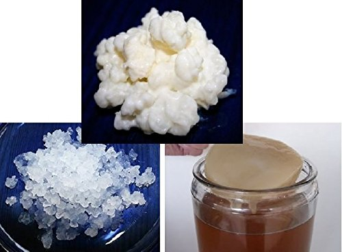 Pack 40g di Granuli Di Kéfir Di Latte + 100g di Granuli Di Kéfir Di Acqua + Disco SCOBY Kombucha + Istruzioni + Ricette + Aiuto e consigli in italiano - KEFIRALIA®