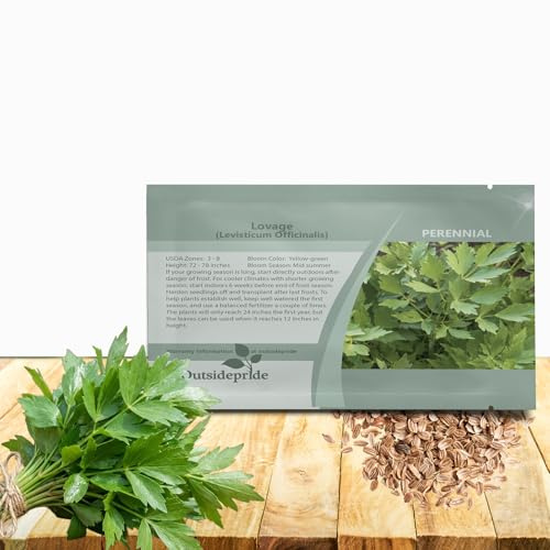 Outsidepride Lovage Vegetable Seeds - 2000 Pcs. Perennial, Easy to Grow & Drought-Tolerant, Herb Seeds for Planting Edible & Vibrant Yellow-Green Blooms, Great for Xeriscaping & Pollinator Gardens