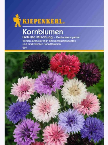 Centaurea Kornblumen gefüllte Mischung