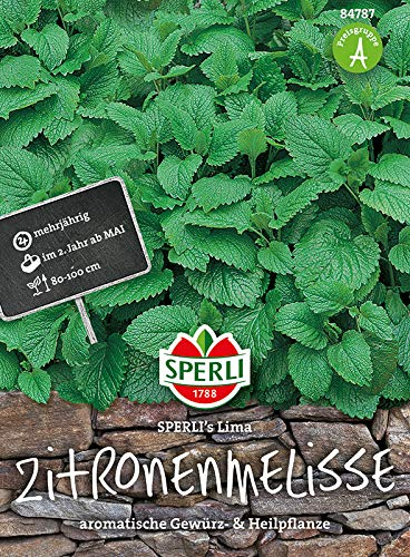 Sperli-Samen Zitronenmelisse SPERLI's Lima