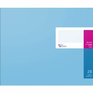 K+E Spaltenbuch mit Kopfleiste 353x297cm 26 Spalten 40 Blatt Karton blau