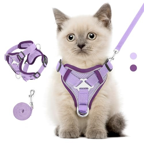 VavoPaw Ensemble Harnais et Laisse pour Chats,Chatons,Chiots,Marche