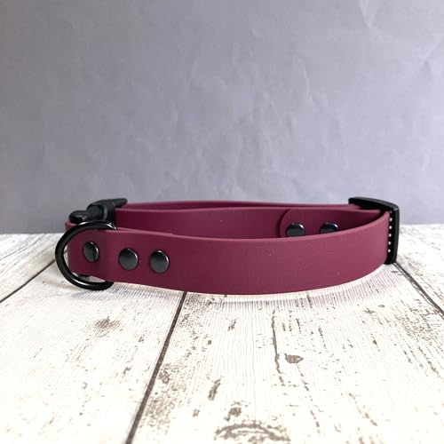 Biothane - Collar de perro impermeable con cierre de liberación rápida (vino, L)