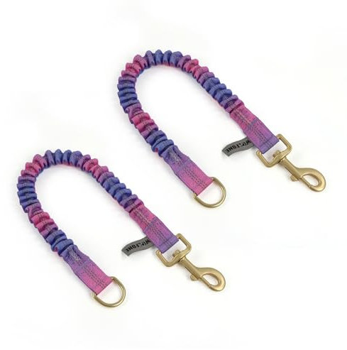 Wolfone Guinzaglio elastico per cani con fili riflettenti per assorbire gli urti, per corsa, allenamento, richiamo, confezione da 2, viola e rosso sfumato