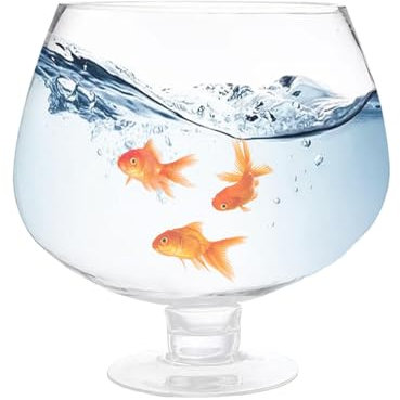 Taza de cerveza grande – Vaso de cerveza de vidrio sólido, copa de vino tinto grande, taza de cerveza grande | Copa de héroe de champán de gran capacidad, copa de vino gigante, tallo enorme con alta