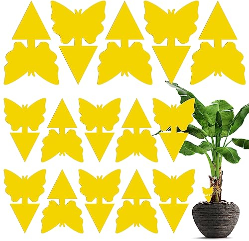 lohey 15 Pack Fruit Trap, Yellow Fly Catcher Fungus Gnat Killer, Double-Sided Sticky Fly Trap for Houseplant Indoor and Outdoor Plants